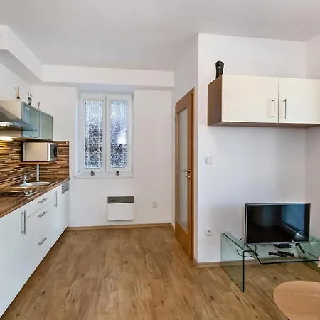 Apartment Apartman Marina Lipno *