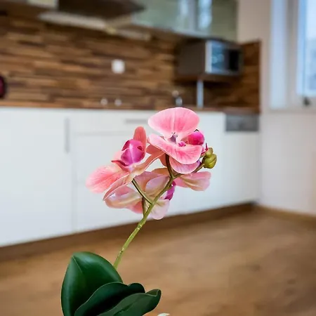 Apartment Apartman Marina Lipno